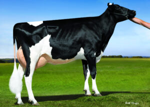 Maverick Gallary Thumbnails