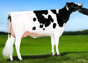 Millenium Gallary Thumbnails