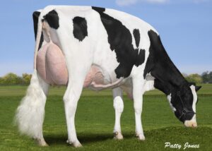 Oscar Gallary Thumbnails