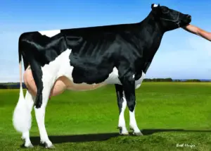 Wrangler Gallary Thumbnails